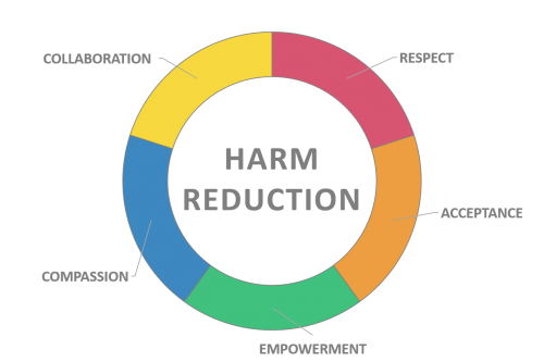 Harm Reduction in Addiction Treatment
