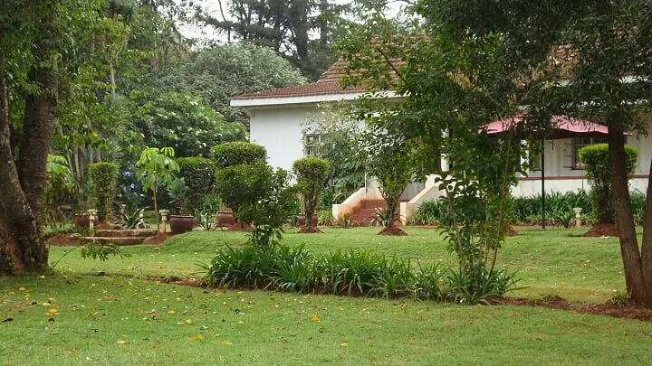 Tigoni Rehab